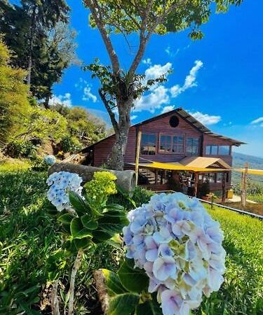 Casa 1800 Los Naranjos Boutique Hotel מראה חיצוני תמונה