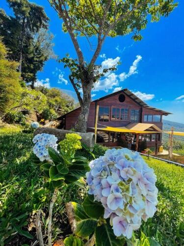 Casa 1800 Los Naranjos Boutique Hotel מראה חיצוני תמונה