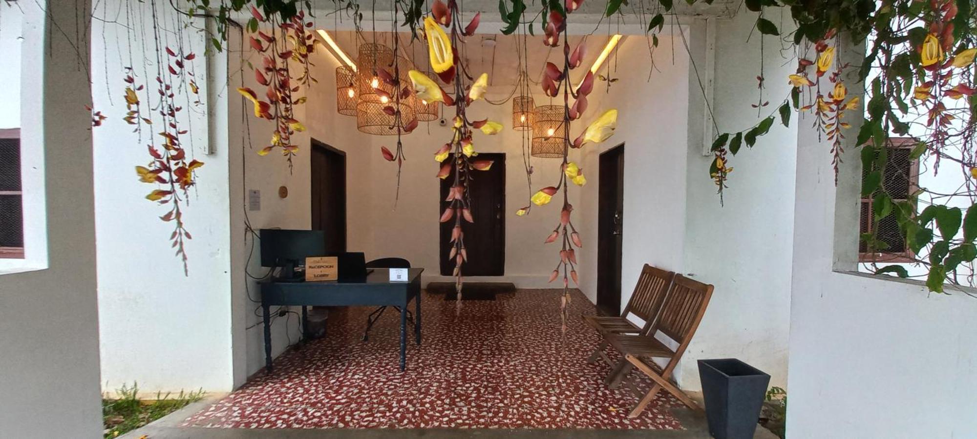 Casa 1800 Los Naranjos Boutique Hotel מראה חיצוני תמונה